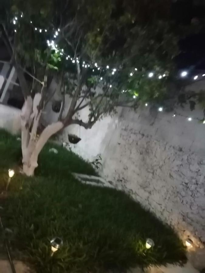 Cobas Departamentos Lägenhet Mérida Exteriör bild